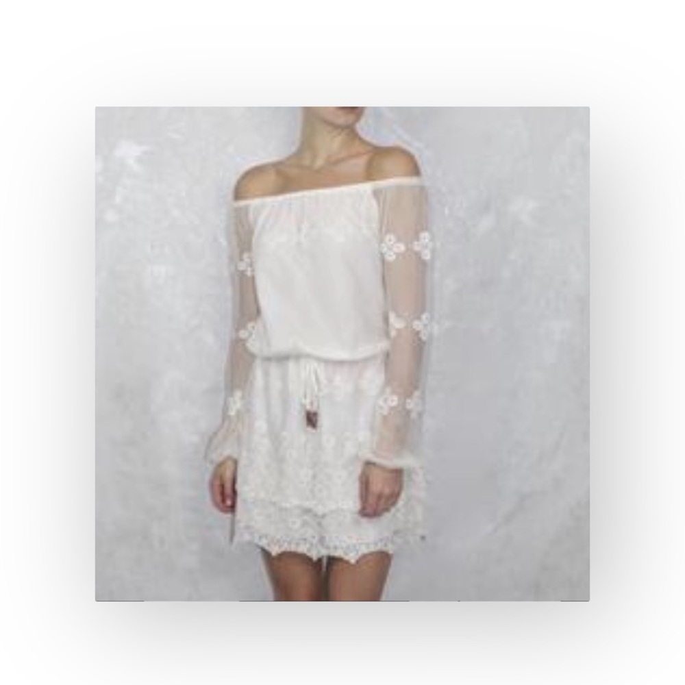 new Chaser ✶ Vintage Inspired Mesh + Lace Off Shouder Mini Dress ✶ Alabaster ✶ - Picture 10 of 16